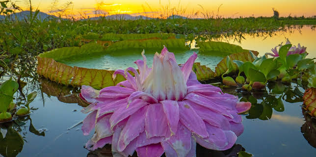 09:40: Unser grüner Planet | ZDFneo | 1/3 2026