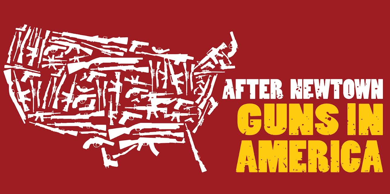 After Newtown: Guns in America (2013)