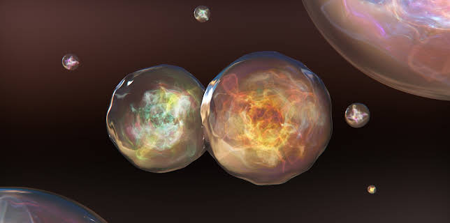 08:48: How The Universe Works  (S7 E6) (S7) | Discovery Science | 12/26 2025