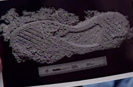 Exhibit A: Secrets of Forensic Science: The Case of the Shoe