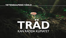 Vetenskapens värld: Träd kan rädda klimatet