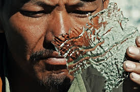 Choose Earth: Our Legacy