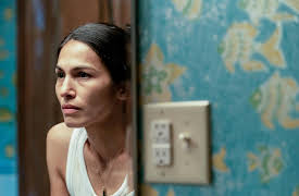 The Cleaning Lady: Season 1: Legacy