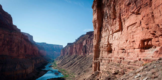 20:15: Expeditionen ins Tierreich | NDR Fernsehen | 11/5 2025