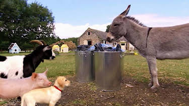 6:30 PM: Treubh an Tuathanais (Big Barn Farm) (S2) | BBC Alba | 1/7 2026