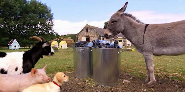 4:05 PM: Treubh an Tuathanais (Big Barn Farm) (S2) | BBC Alba | 1/10 2026