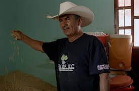 Taco Mafia, Season 1: Tradicion