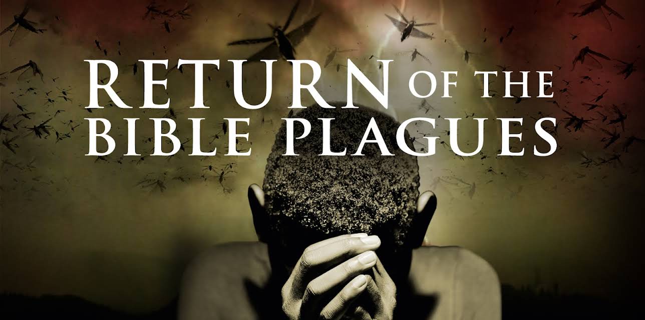 Return of the Bible Plagues