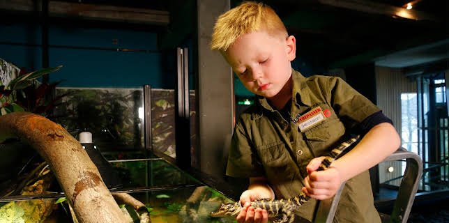 11:55: Klart eg kan: Bygge krokodillebur | NRK Super | 11/10 2025