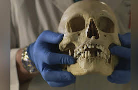 The Coroner I Speak for the Dead Season 1: Unburying the Truth