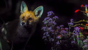 6:00 PM: Secret Garden (S1) | BBC One | 4/12 2026