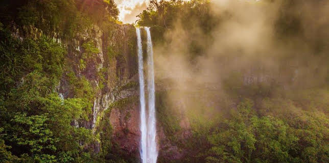 03:05: Dokumentation & Reportage | Das Erste | 11/19 2025