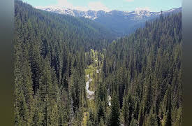 Liberty on Trial in America: Cases That Defined Freedom: The Ruby Ridge Trial