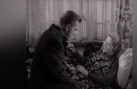 Veil: Gloucester Captain