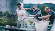 Fisch ahoi! Das Meer braucht eine Pause (3/6)