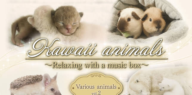 Kawaii animals～Relaxing with a music box～Various animals vol.2 (2025)