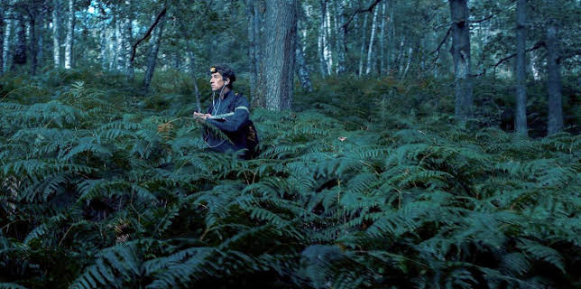 02:27: Wilde Welten | Arte | 11/28 2025