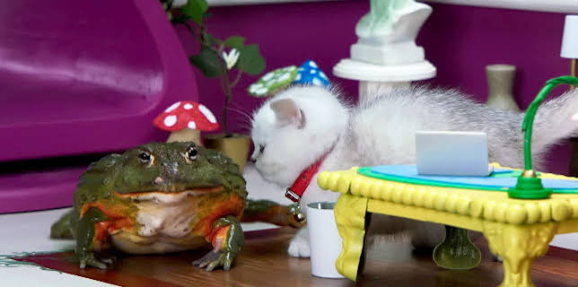 17:20: Rosin og Bolle: Jobb | NRK Super | 1/28 2026