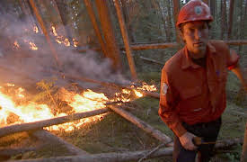 Risk Takers: Forest Firefighters
