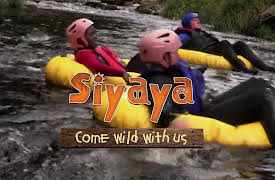 Siyaya – Come Wild With Us: The Enchanted Forest
