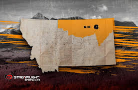 Wardens: Night Chase