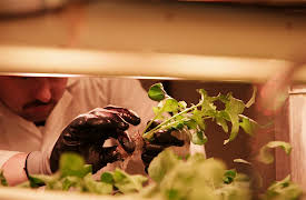 Who Owns the World?, Season 1: Food