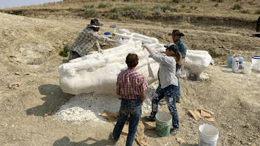 11:00 AM: Dino Hunters (S2) | Discovery Channel | 4/9 2026