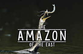 The Amazon of the East: Gift to the Earth
