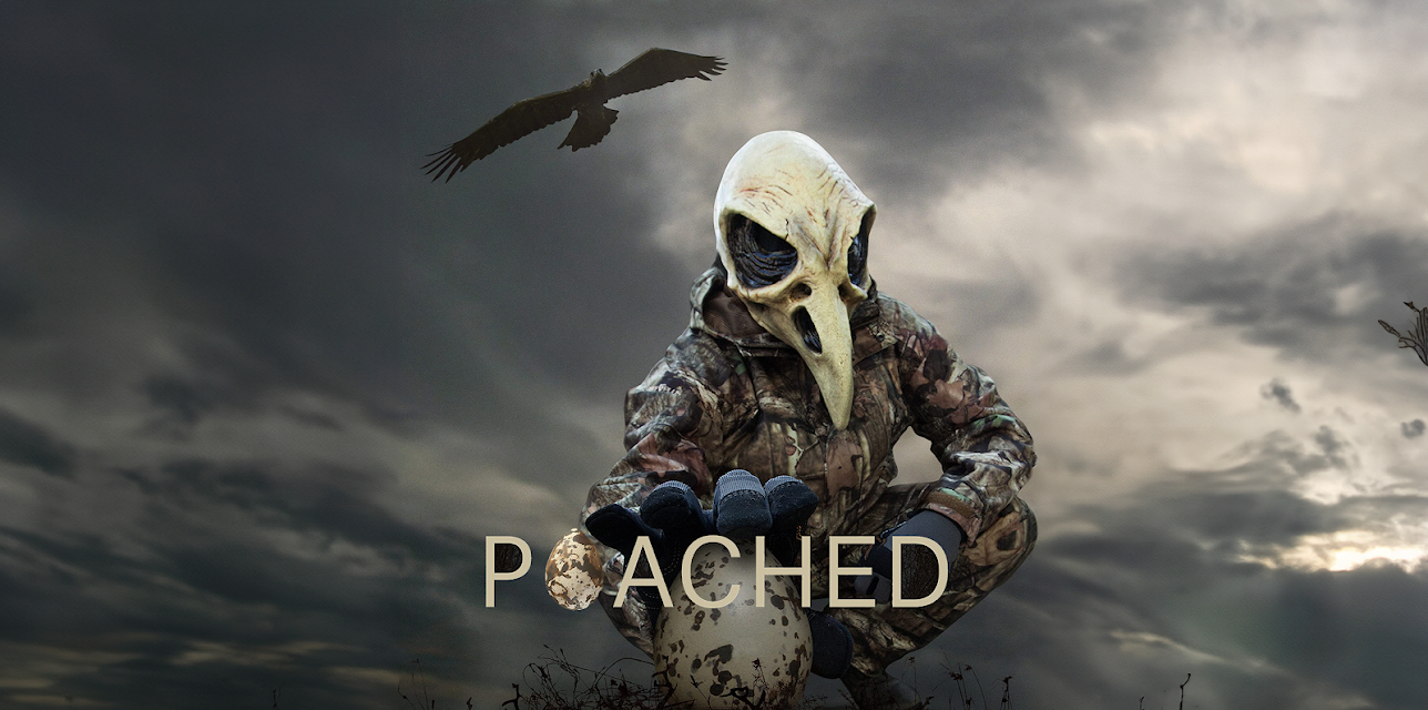 Poached (2015)