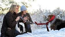 Darling Companion - Ein Hund fürs Leben