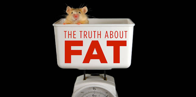 The Truth About Fat (2020)
