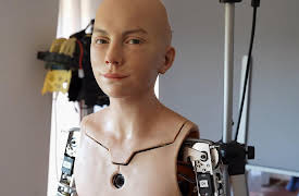 Fareed Zakaria Documentaries, Season 1: Artificial Intelligence: Its Promise...and Peril