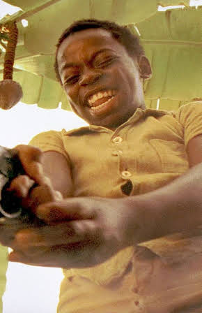 Douglas Silva as Director