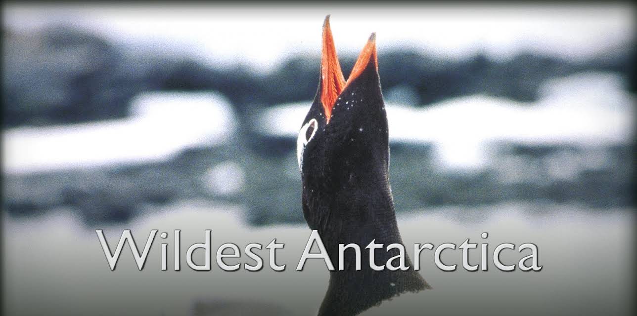 Wildest Antarctica (2015)