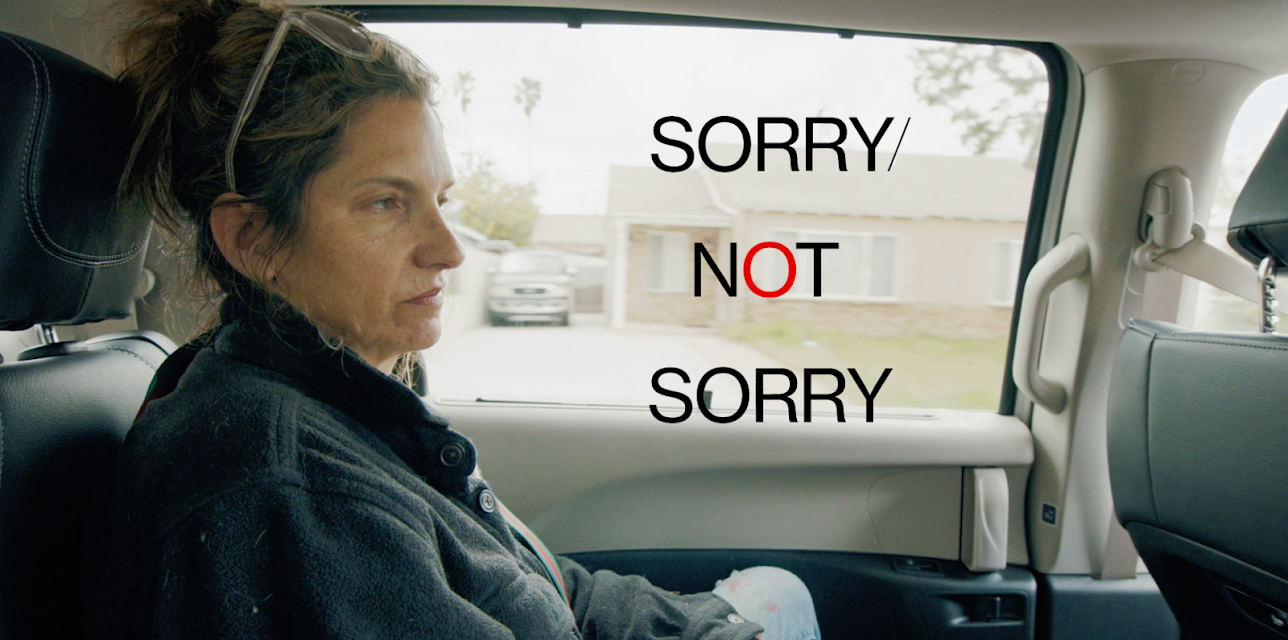 Sorry/Not Sorry (2024)