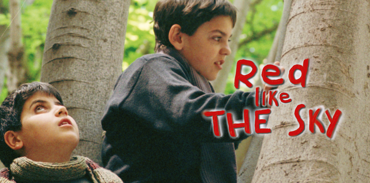 Red like the Sky (2008)
