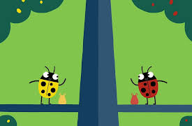 Animanimals: Ladybird