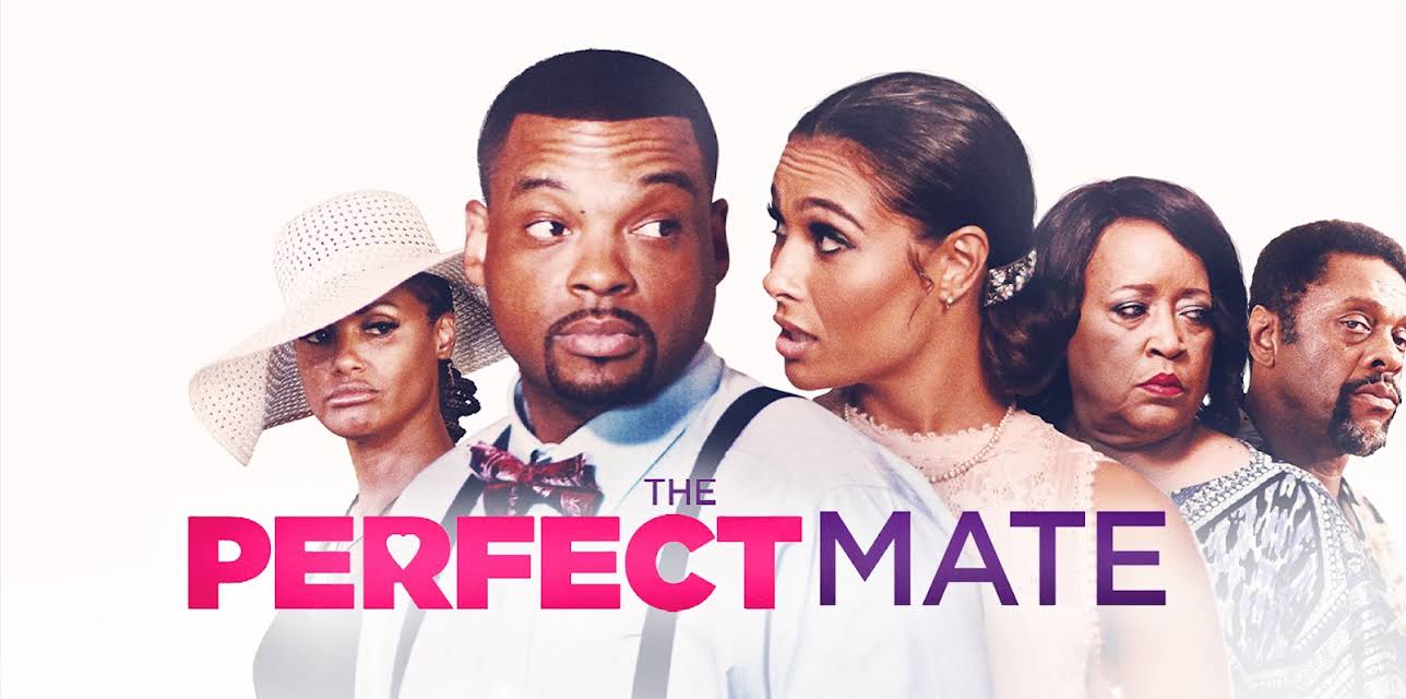 The Perfect Mate (2020)