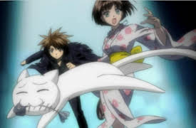 Black Cat Season 1: The Cat Under Fire