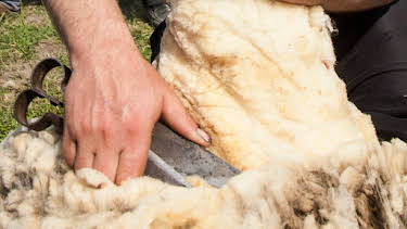 05:30: How Do They Do It? (S11 E18) (S11) | Kanal 9 | 5/1 2026