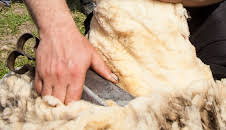 Hvordan gjør de det? (S11 E18)