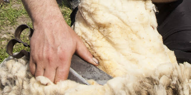 05:30: How Do They Do It? (S11 E18) (S11) | Kanal 9 | 11/25 2025