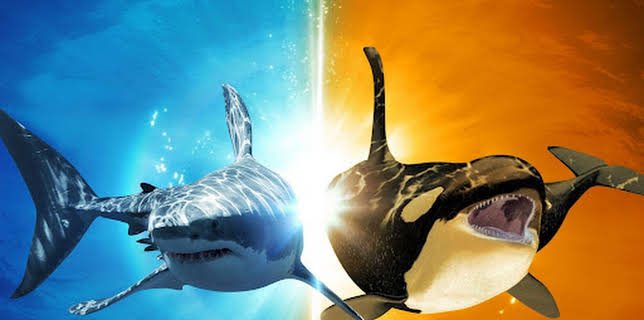 13:00: Rivalen: Haie vs. Orcas | ProSieben Maxx | 12/25 2025