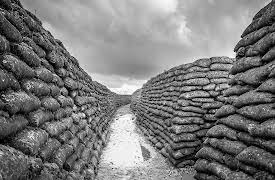 World War I: The "Great War": The Western Front Experience