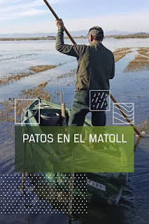 18:05: Patos en El Matoll | Caza y Pesca | 2/27 2026