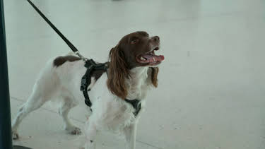 18:10: Gränsbevakarna Sverige (S3 E7) (S3) | Kanal 5 | 4/2 2026