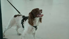 Grensevakten Sverige (S3 E7)