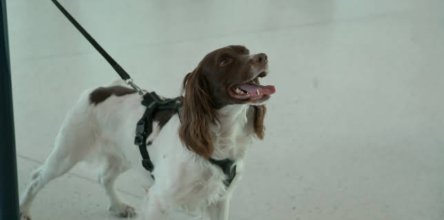 12:15: Grensevakten Sverige (S3 E7) (S3) | Discovery Channel | 11/14 2025