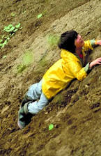 Sunny Besen Thrasher as 