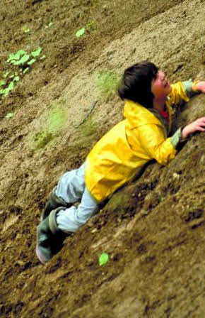 Sunny Besen Thrasher as 